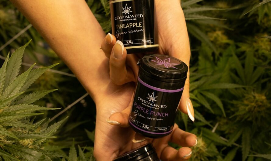 Сорт Northern Lights x AK feminised от компании Ganja Seeds