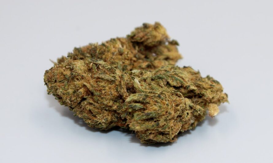 Питательная ценность и калорийность семени конопли