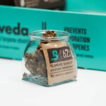 Феминизированные семена конопли сорта Джек Херер от Трикрома Сидс img-2817.jpg