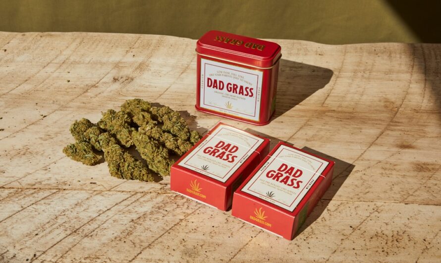 Свойства и виды конопли и особенности приобретения семян в Новосибирске