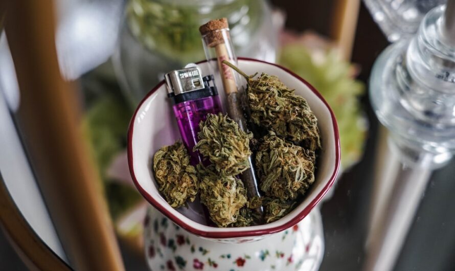 Семена конопли Blue Cheese feminised от Barneys Farm