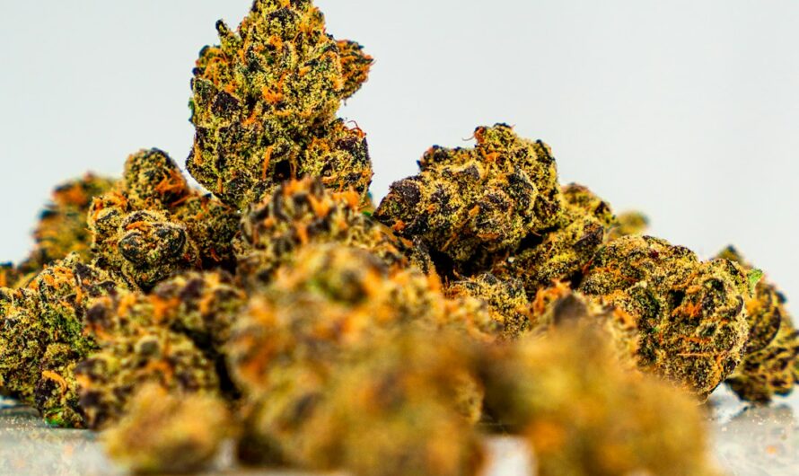 Конопляное семя и его роль в лечении рака