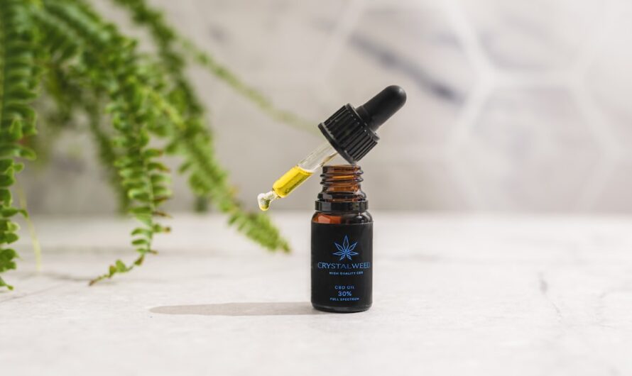 Как вырастить коноплю из семени пошаговое руководство