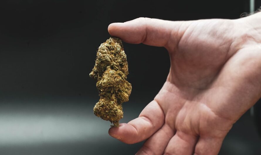 Наркотические средства в Санкт-Петербурге свойства и параметры различных веществ