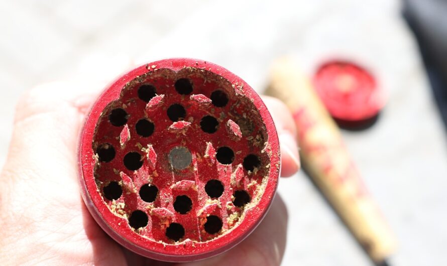 Семена конопли и их использование для различных целей