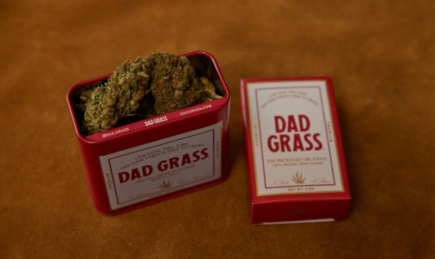 Стоимость семян марихуаны и факторы на нее влияющие