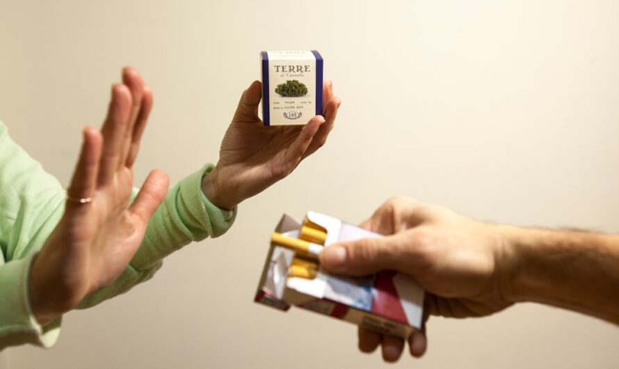 Сравнение марихуаны и спайса свойства и эффекты веществ