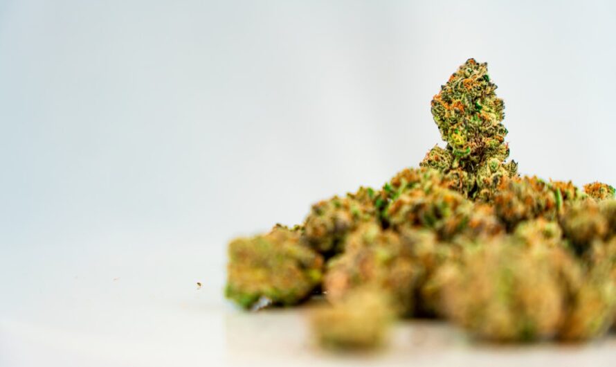 Семена конопли свойства и применение