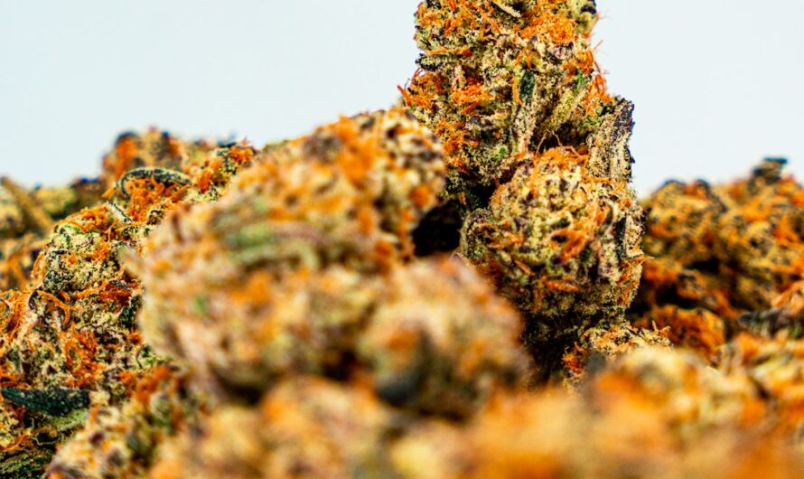 Оборудование для выращивания конопли