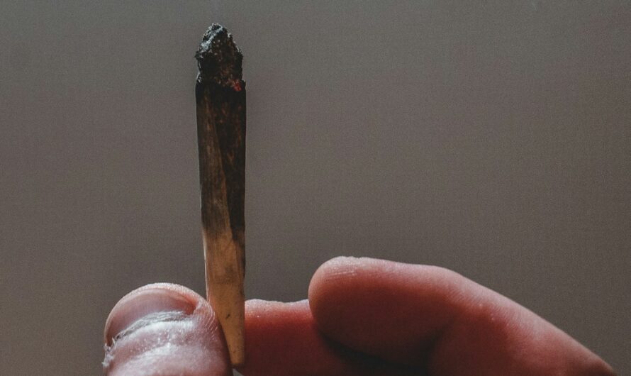 Конопля и ее свойства в России