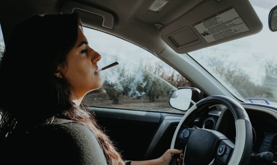 Kraken Market: особенности площадки и доступ через Tor