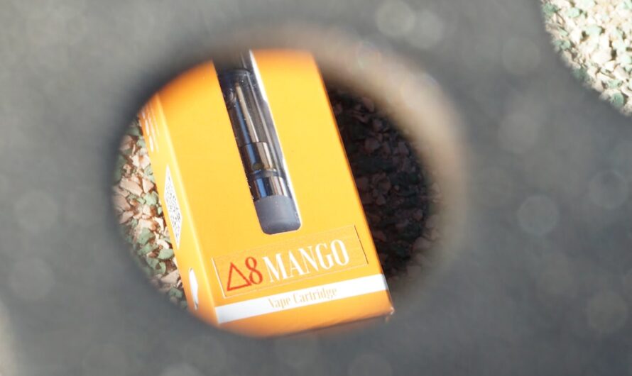 Наркотические средства в Бресте и их свойства