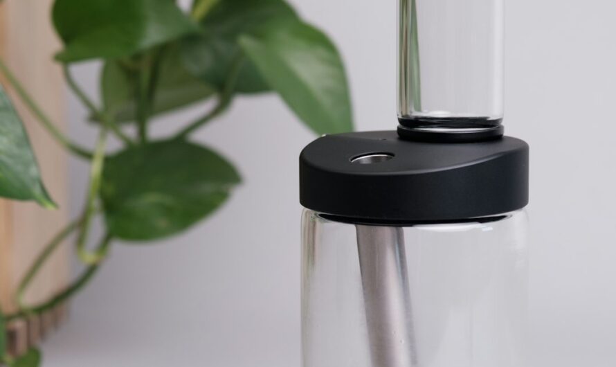 Семена конопли Auto OG Kush подробное описание и преимущества сорта