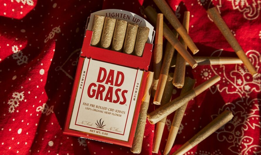 Свойства и характеристики феминизированных семян конопли Moby Dick