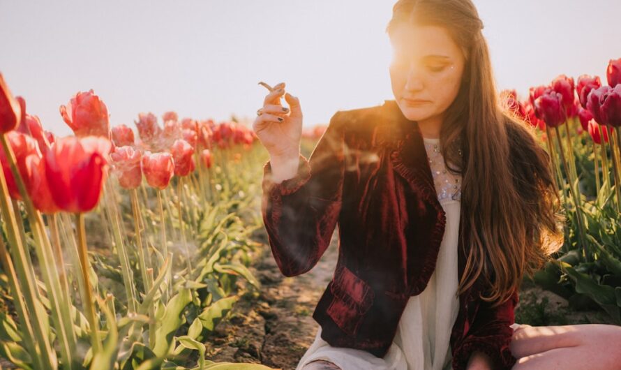 Описание наркотических средств и их свойства