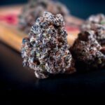 Синтетические наркотики и их опасность для здоровья img-364.jpg