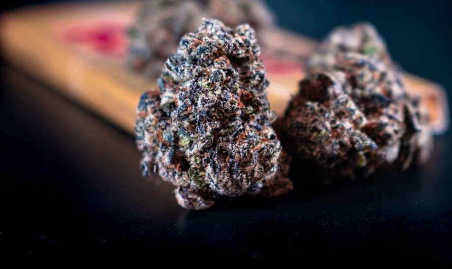 Синтетические наркотики и их опасность для здоровья