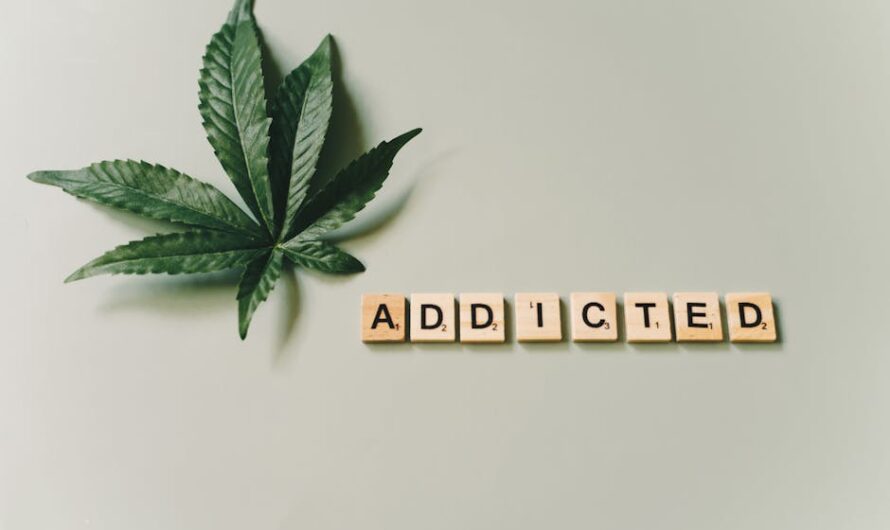 Магазин Семян Конопли в Москве