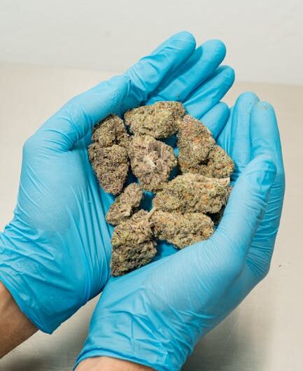 Свойства и применение сушеных семян конопли