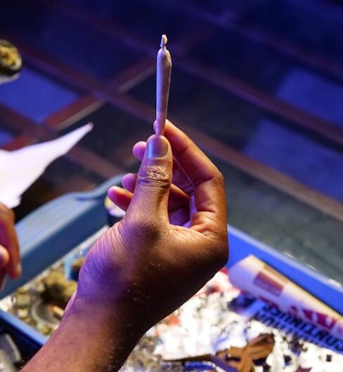 Индийские семена конопли свойства и применение