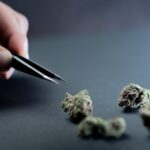 Купить марихуану в Сочи и ее свойства img-635.jpg