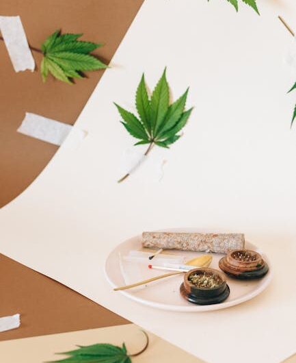 Наркотические средства и психотропные вещества в Казахстане