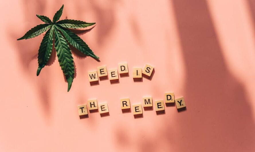 Выращивание конопли из семян дома