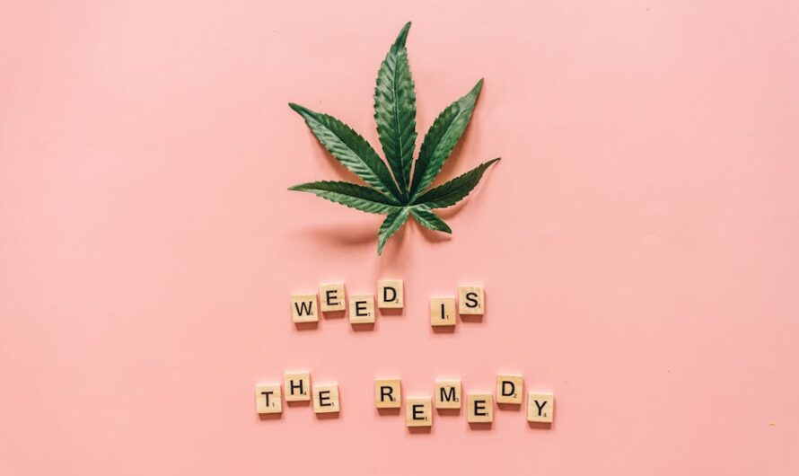 Питательная ценность конопляного семени